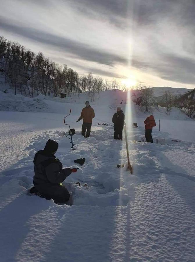 Senja Arctic Lodge Stonglandseidet Экстерьер фото