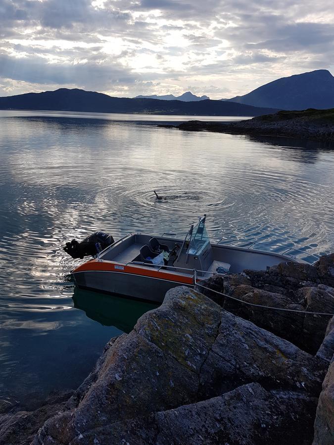 Senja Arctic Lodge Stonglandseidet Экстерьер фото