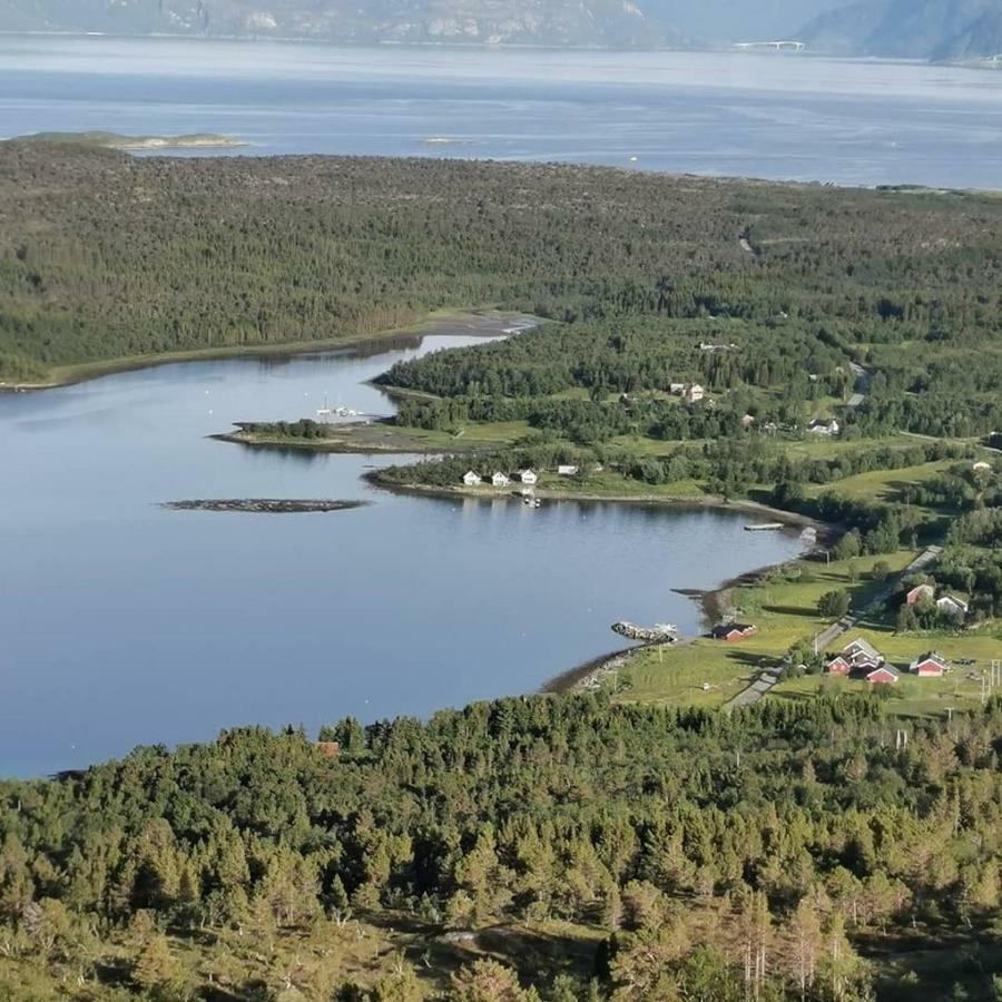 Senja Arctic Lodge Stonglandseidet Экстерьер фото