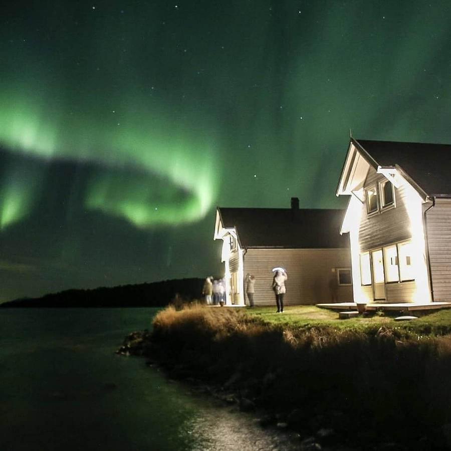 Senja Arctic Lodge Stonglandseidet Экстерьер фото